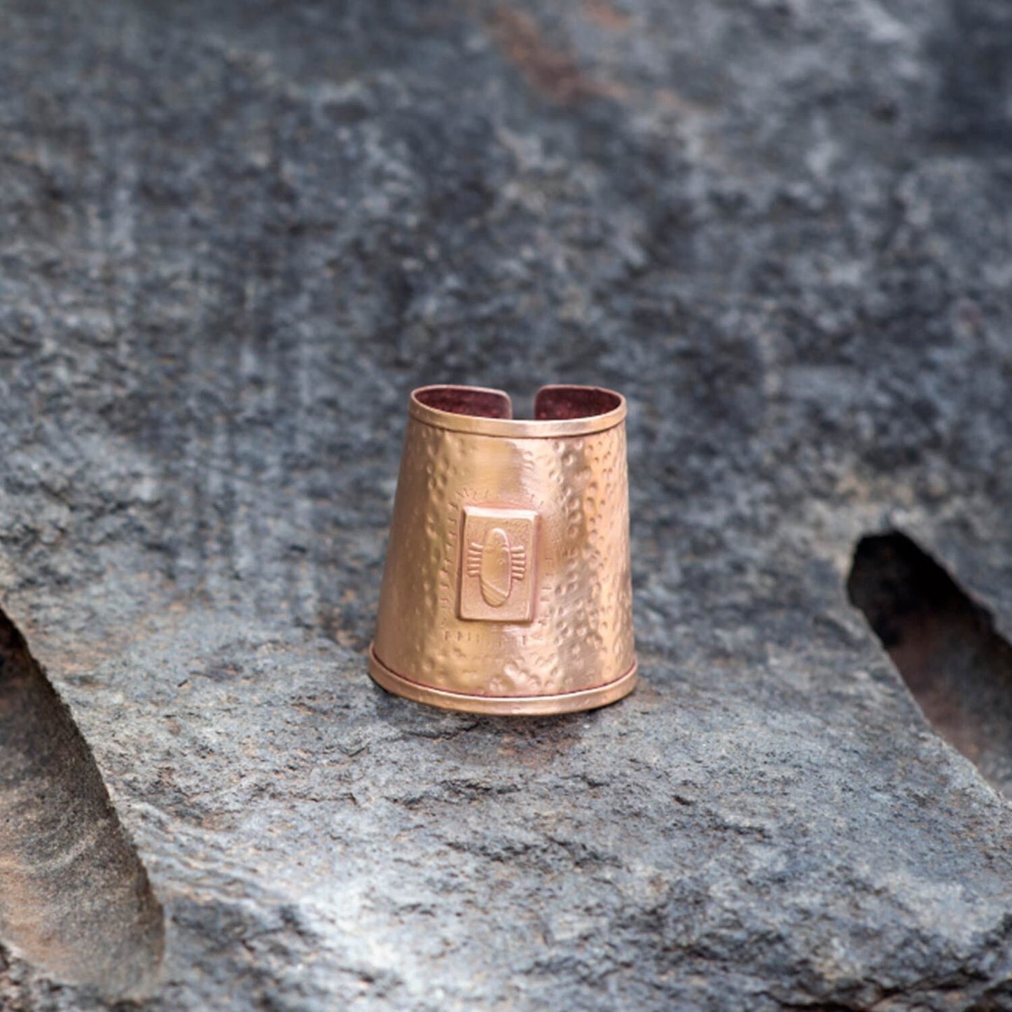 Bhairavi Raksha(中)