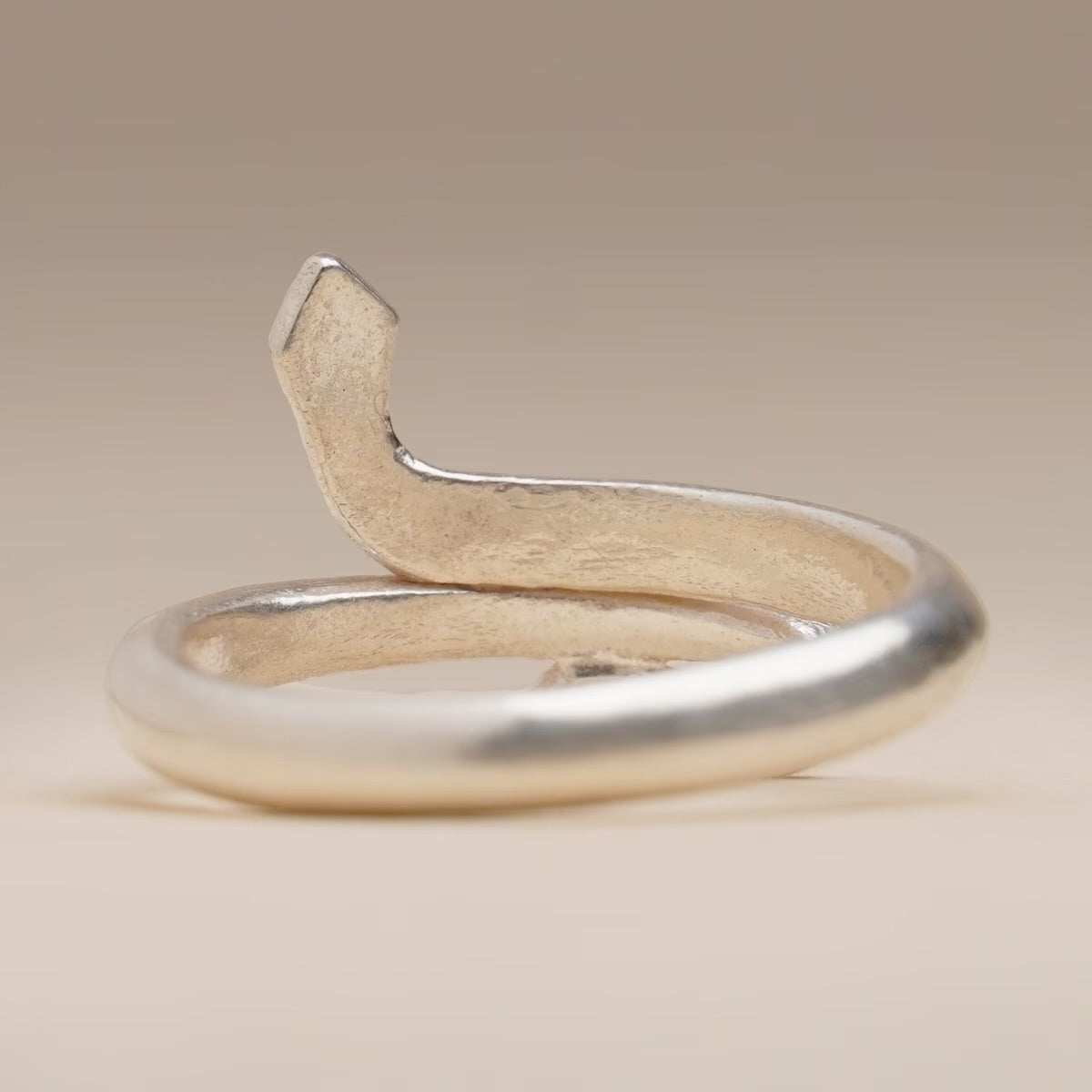 Silver Snake Ring