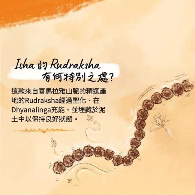 Panchamukhi Rudraksha Mala (6.5 mm Bead)