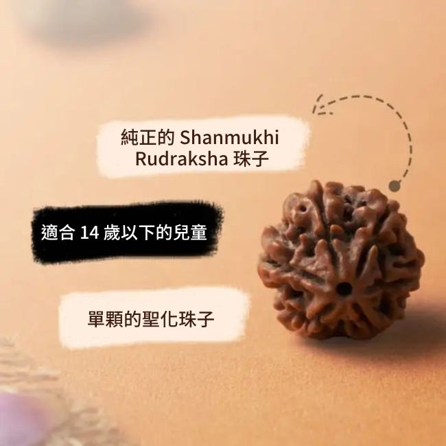 Shanmukhi Rudraksha Bead for Children (Six Faced)