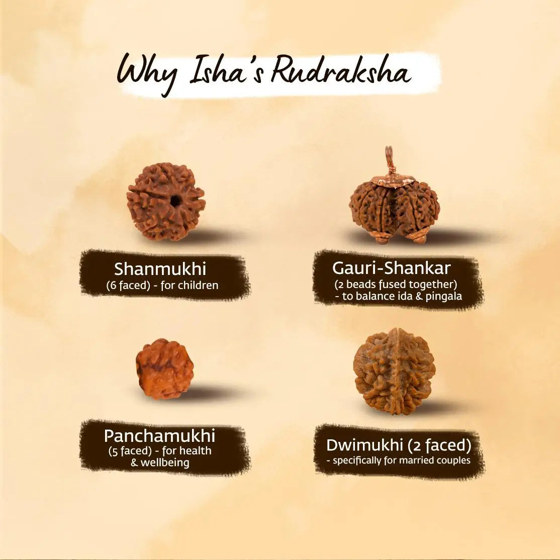 Authentic Isha Panchamukhi (five-faced) Rudraksha Mala. Consecrated at Dhyanalinga. Your cocoon of energy (8 mm)