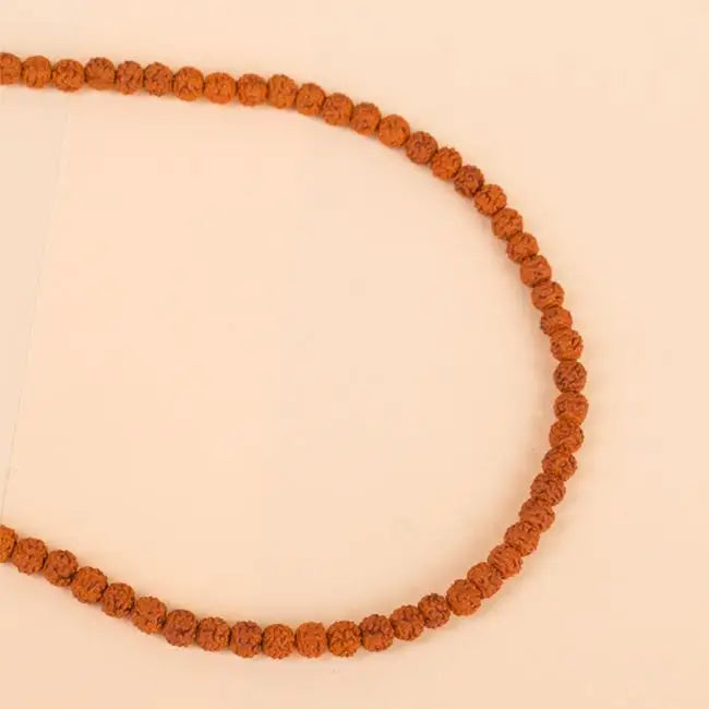 Panchamukhi Rudraksha Mala - 菩提子尺寸 5.5 mm