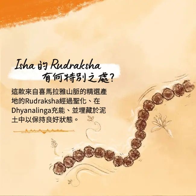 Panchamukhi Rudraksha Mala - 菩提子尺寸 5 mm