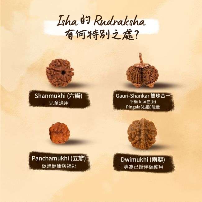 Panchamukhi Rudraksha Mala - 菩提子尺寸 5 mm