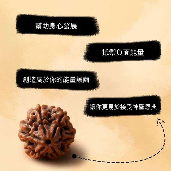 Shanmukhi Rudraksha 六面金剛菩提子 - 兒童