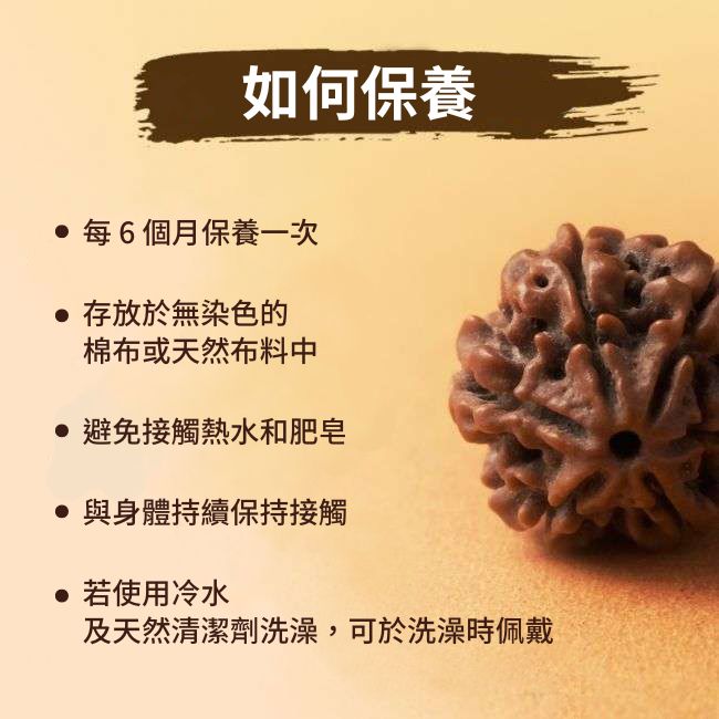 Shanmukhi Rudraksha 六面金剛菩提子 - 兒童