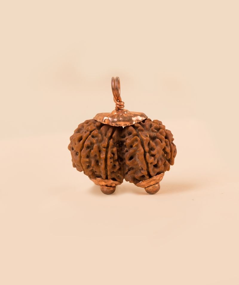 Rudraksha Beads Gowrishankar